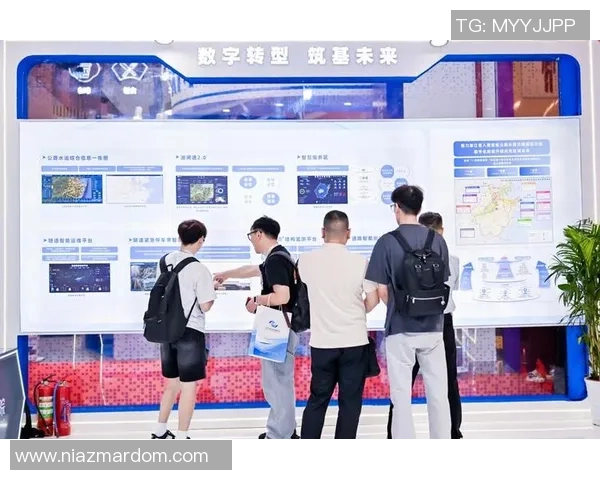 北京排球队在钻石联赛中的实力展现与未来发展潜力分析