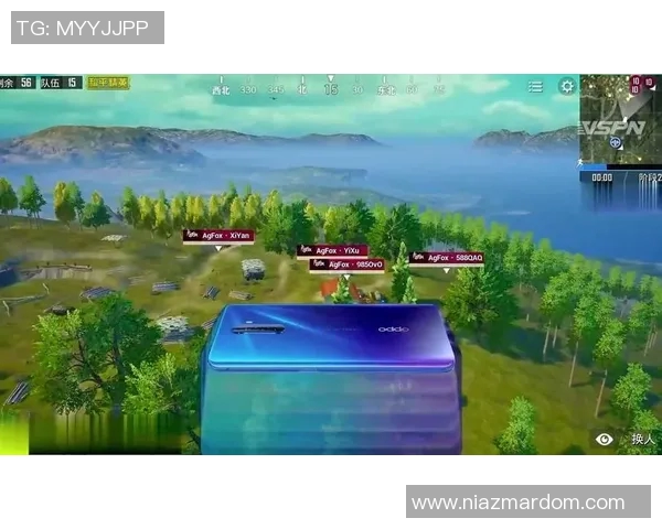 和平精英战术分析：TES边路渗透策略的深度解析与实战应用