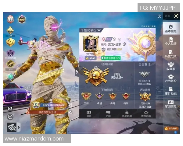 权威发布：和平精英耐力实力榜单全面解析与玩家排名揭秘