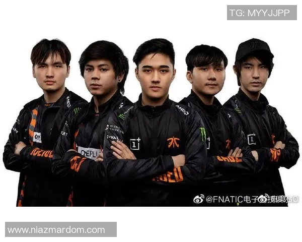 深度对话：探寻杨敏在DOTA2世界中的成长与挑战之路