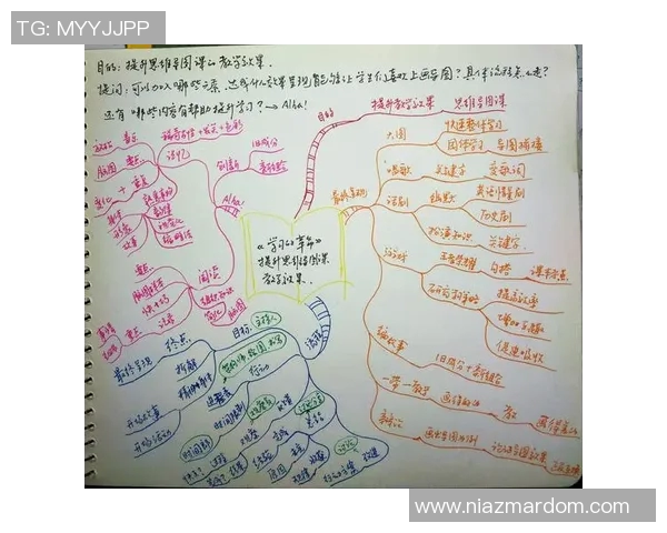 飞盘与梦想交织的旅程刘芳的深度对话与人生启示