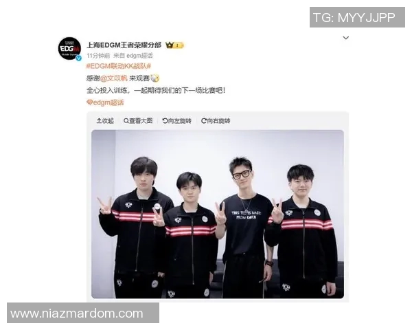 王者荣耀热议：EDG团队配合引发的争议与思考