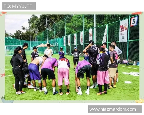 飞盘焦点：深入分析西安飞盘队的战术节奏与团队协作