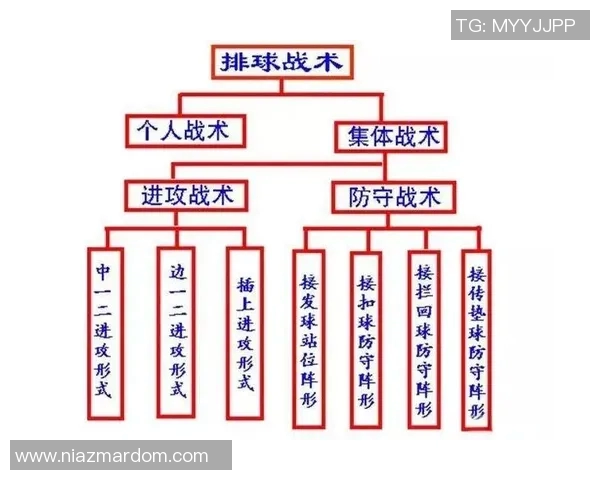 北京排球队灵活性探讨：战术调整与球员适应能力的深度分析