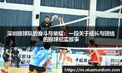 深圳排球队的奋斗与荣耀：一段关于成长与团结的排球纪实故事