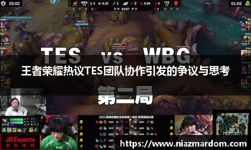 王者荣耀热议TES团队协作引发的争议与思考